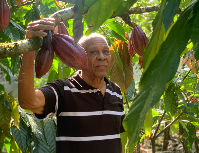 Producteur cacao coopÃ©rative Conacado en RÃ©publique dominicaine - PÃ¢te Ã  tartiner bio